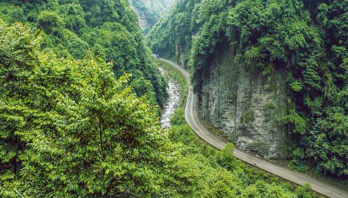山东的山指的是哪座山