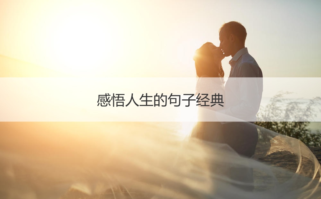 感悟人生的正能量句子