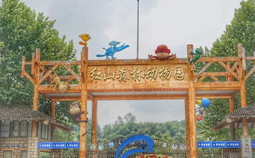 红山森林动物园门票多少钱