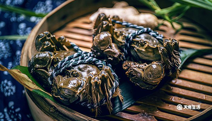 活螃蟹怎么保存?