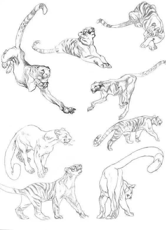 十种简笔画教程 简笔画教程一学就会
