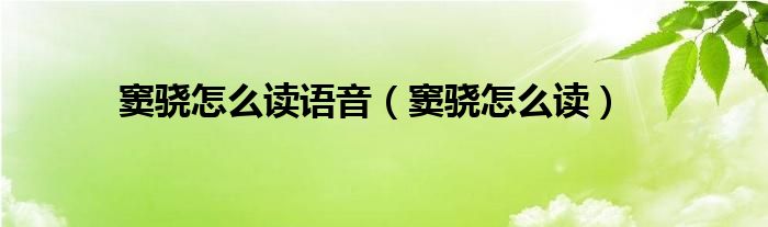 窦骁怎么读