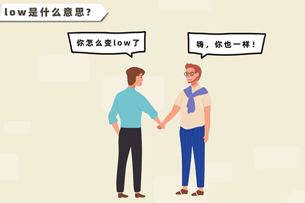 low是什么意思