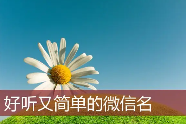 改个有意义的微信号id