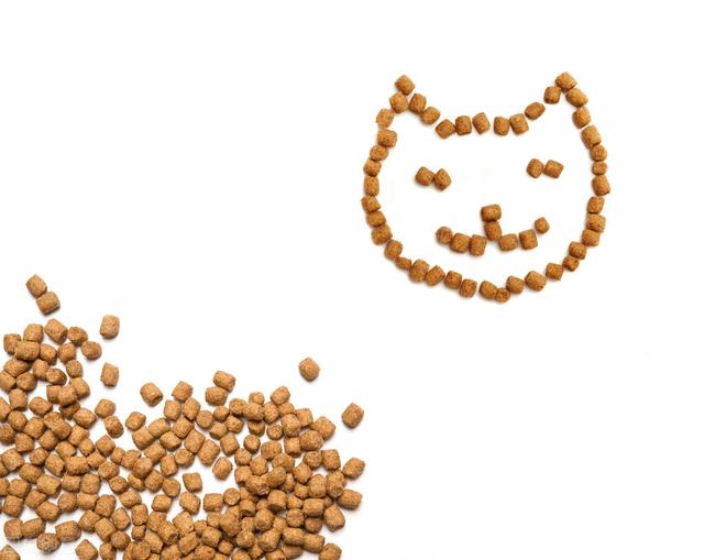 猫粮排行榜和价格