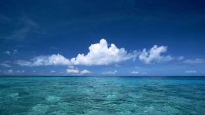 ocean和sea有什么区别，sea与ocean的主要区别