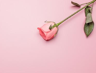 爱是什么如何理解爱