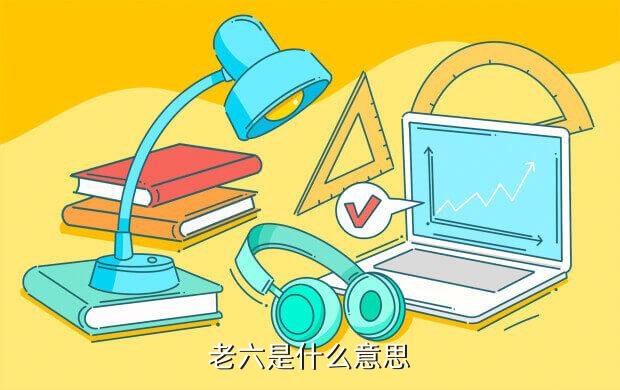 小布老六是什么