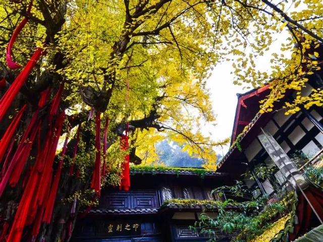 成都旅游必去十大景点推荐