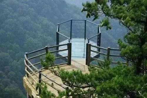 老君山风景区旅游攻略