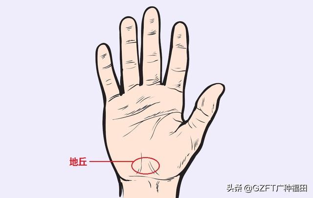 手相大师看手相（5分钟学会看手相）