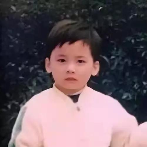 李易峰个人简介资料及喜好（李易峰的坎坷人生）