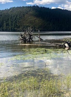 香格里拉旅游景点自由游（香格里拉自由行攻略）
