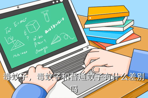 蚊子的百度百科