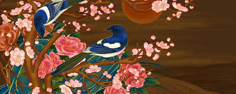 太阳花花语
