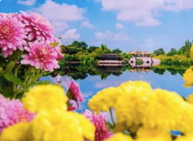 重阳节有什么风俗 传统