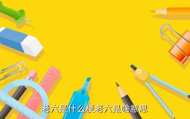 小布老六是什么