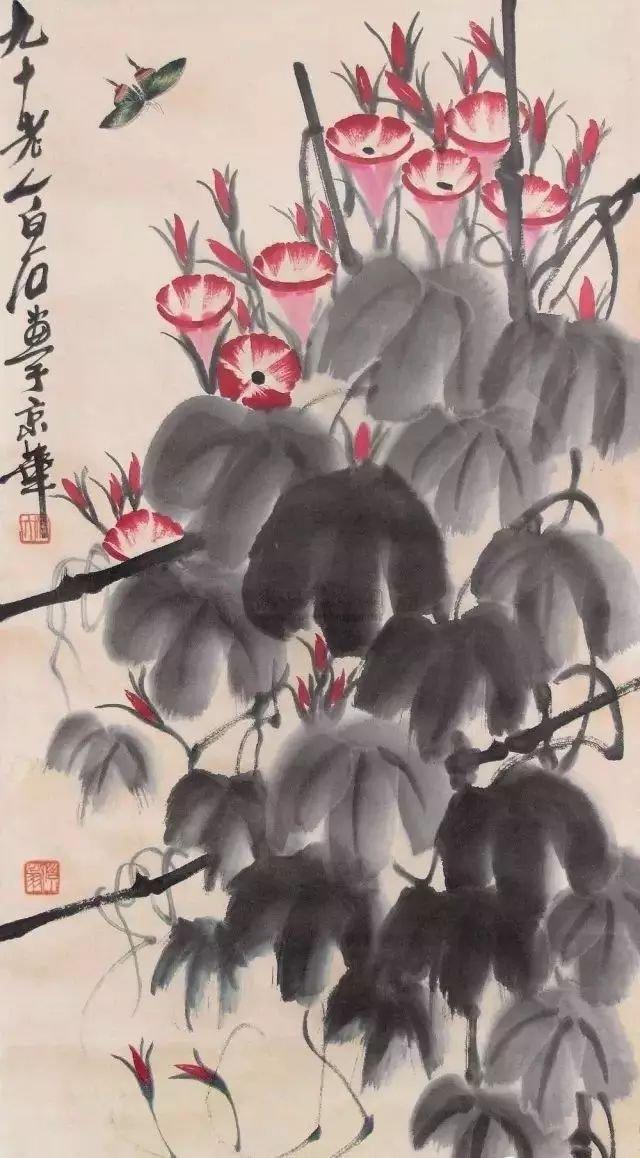 工笔国画牵牛花
