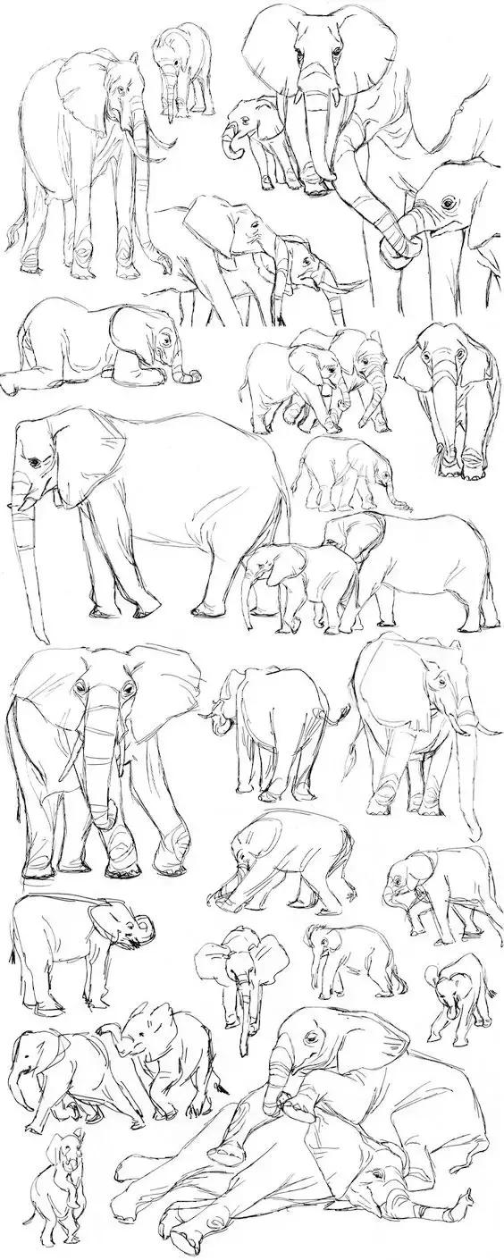 十种简笔画教程 简笔画教程一学就会