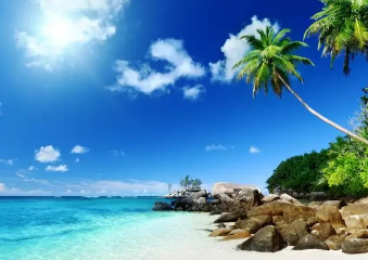 描写夏天的诗句
