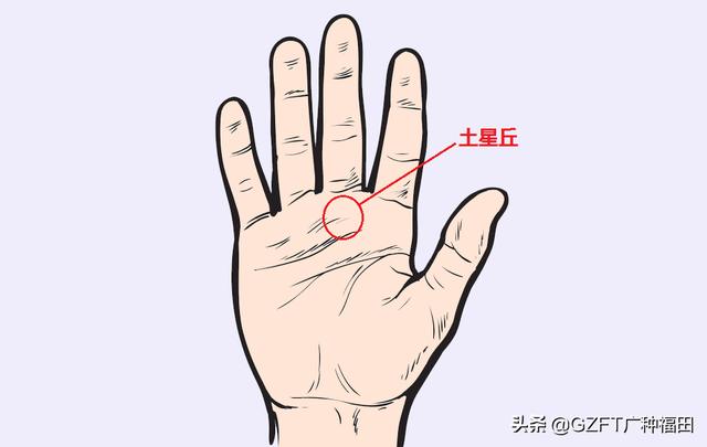 手相大师看手相（5分钟学会看手相）