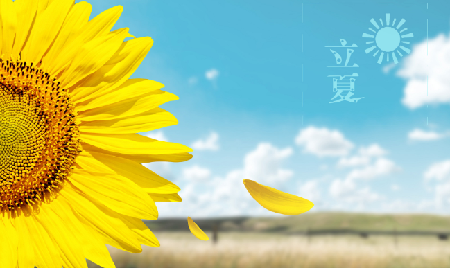 农历二十四节气