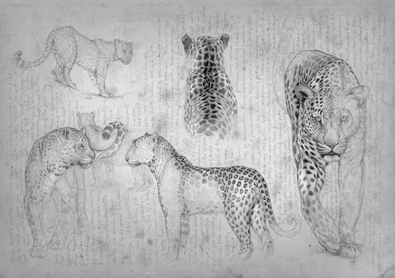 十种简笔画教程 简笔画教程一学就会