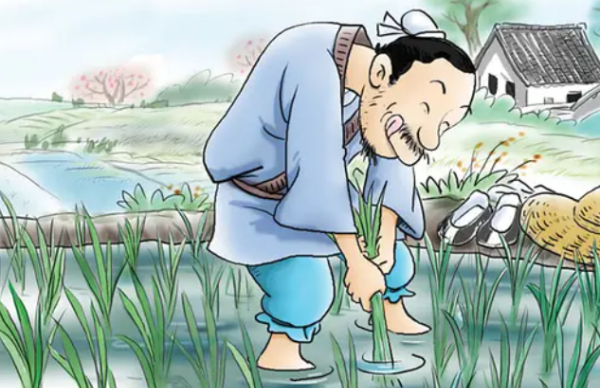 揠苗助长文言文