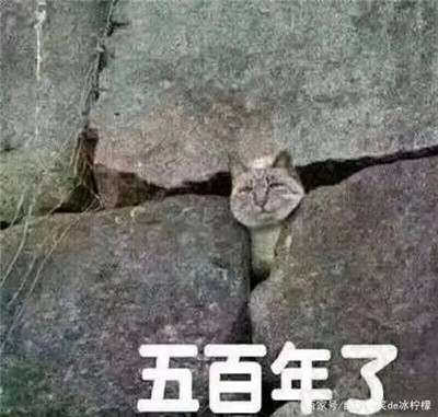 30个笑掉大牙的笑话