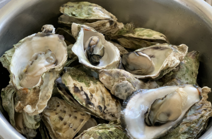 生蚝怎么开壳