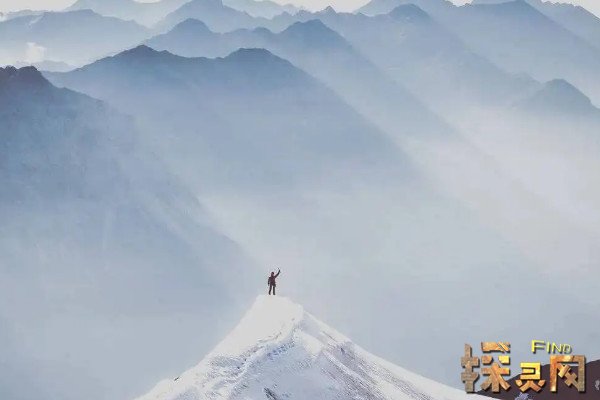 路漫漫其修远兮吾将而求索的意思