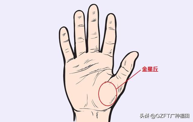 手相大师看手相（5分钟学会看手相）