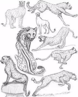 十种简笔画教程 简笔画教程一学就会