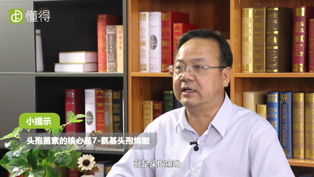 头孢是什么（图文）