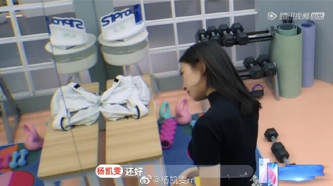 杨凯雯真实个人资料 现在是单身的状态