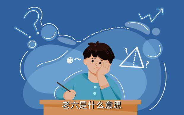 小布老六是什么