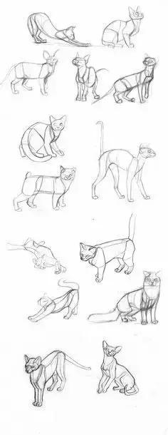 十种简笔画教程 简笔画教程一学就会
