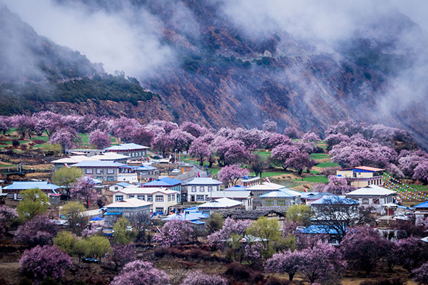 林芝海拔多少米