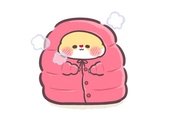 灰鸭绒和白鸭绒哪个好