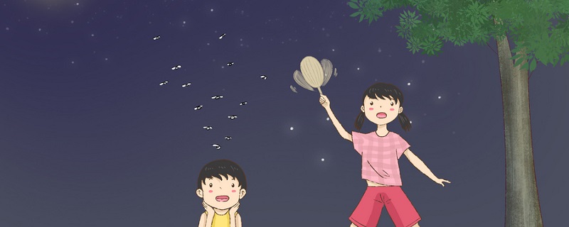 蚊子的幼虫