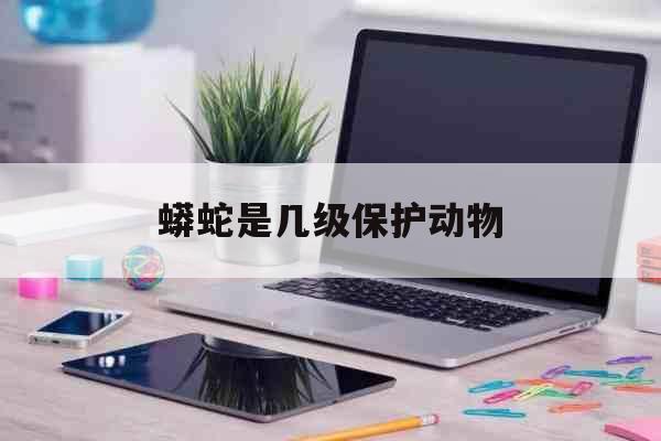 蟒蛇是几级保护动物