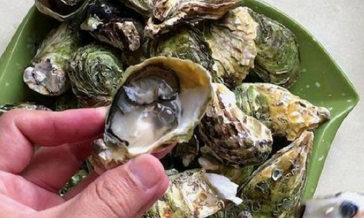 生蚝怎么开壳