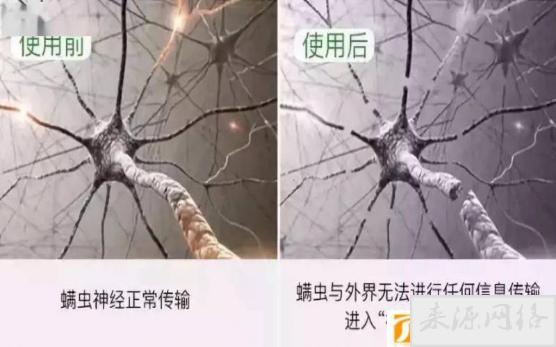 除螨（有效的螨虫清除方法）