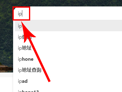 如何查看本机ip