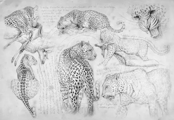 十种简笔画教程 简笔画教程一学就会