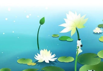描写夏天的诗句