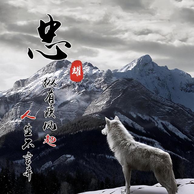 最新最火的头像图片