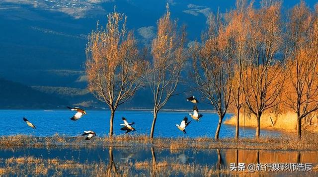 丽江旅游攻略必去景点大全图（这可能是你看过最全丽江旅游攻略了）