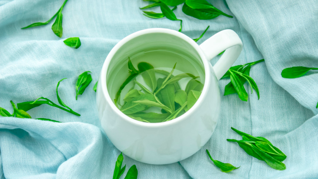六安瓜片属于什么茶类