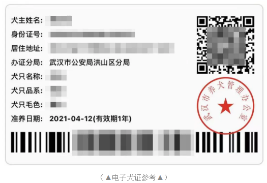 狗证怎么办理